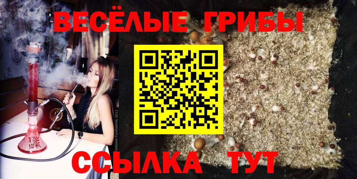 Псилоцибиновые грибы Magic Shrooms  Вход с VPN  Камышин 